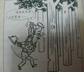 这段木头里一定有虫漫画作文,一段奇妙的虫木故事